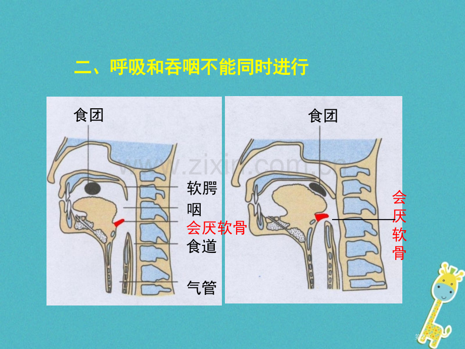 七年级生物下册第三章第二节发生在肺内的气体交换市公开课一等奖百校联赛特等奖大赛微课金奖PPT课件.pptx_第2页