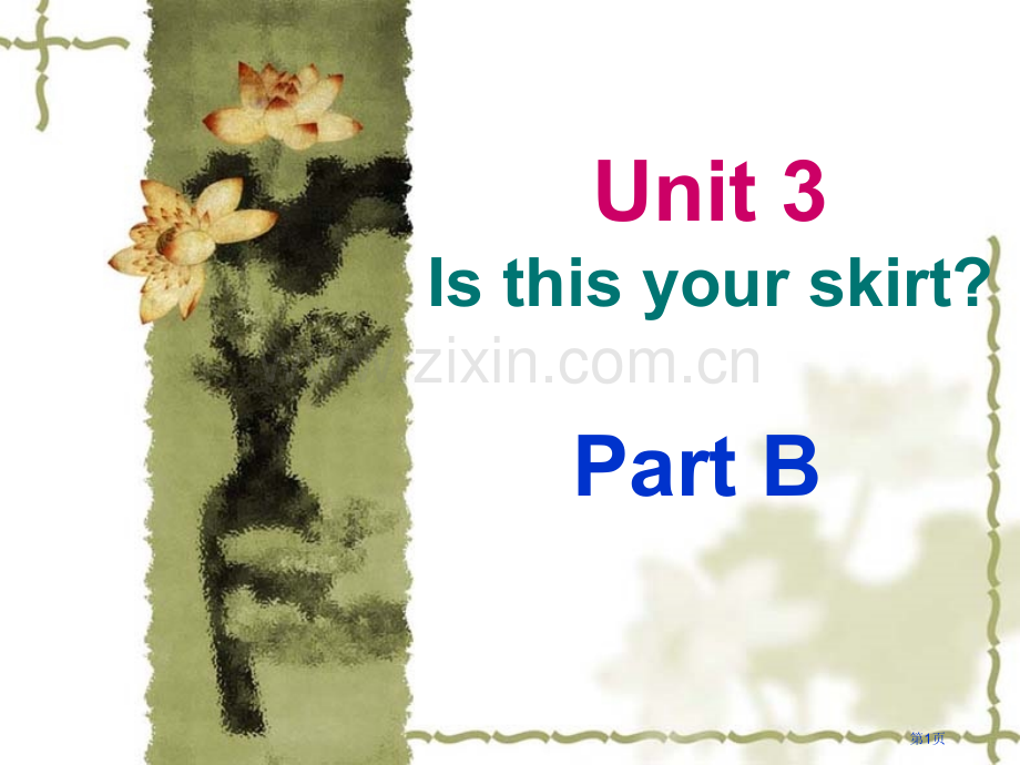 Unit3IsthisyourskirtB省公共课一等奖全国赛课获奖课件.pptx_第1页