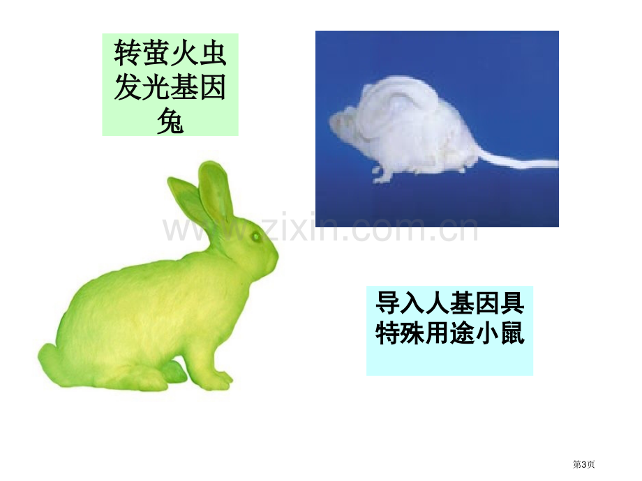 现代生物科技讲座省公共课一等奖全国赛课获奖课件.pptx_第3页