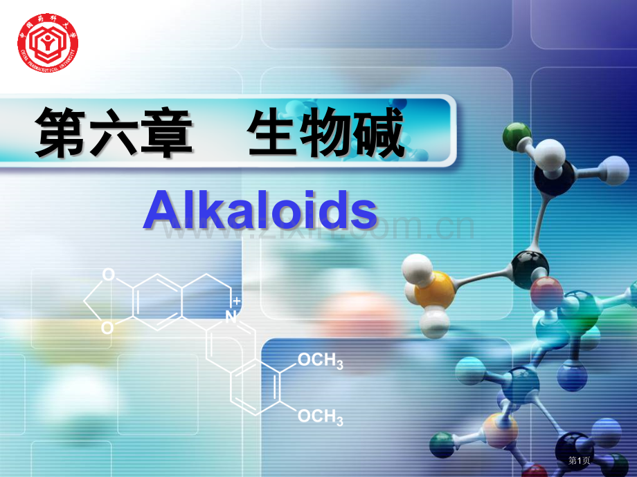 生物碱概述分类性质省公共课一等奖全国赛课获奖课件.pptx_第1页