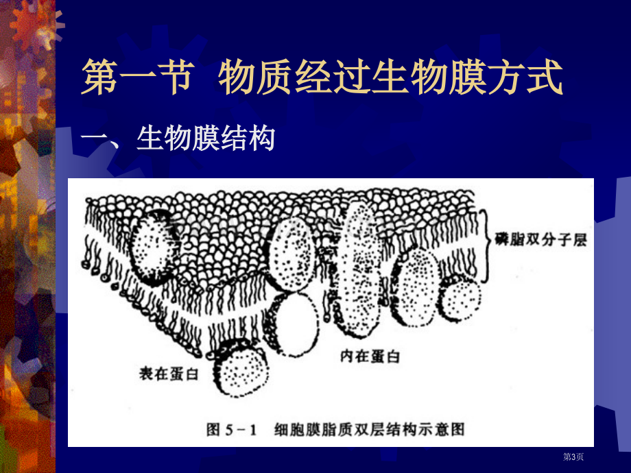 生物体内污染物质的运动过程和毒性省公共课一等奖全国赛课获奖课件.pptx_第3页