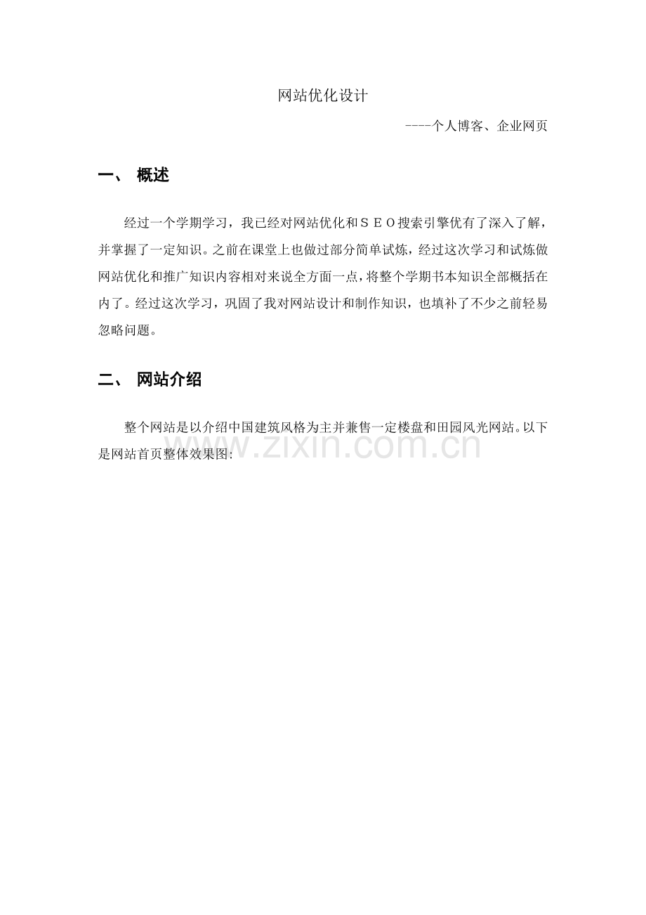 seo实训总结报告.doc_第2页