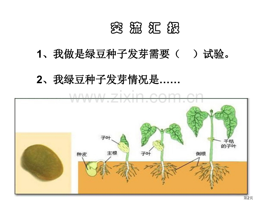 五上种子发芽实验市公开课一等奖百校联赛获奖课件.pptx_第2页