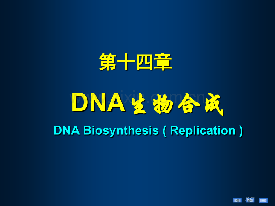 生物化学及分子生物学人卫第八版dna的生物合成省公共课一等奖全国赛课获奖课件.pptx_第2页