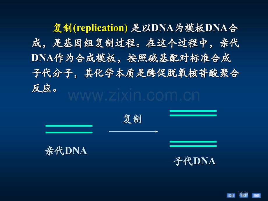 生物化学及分子生物学人卫第八版dna的生物合成省公共课一等奖全国赛课获奖课件.pptx_第3页