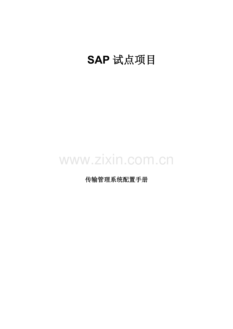 SAP传输标准管理系统配置基础手册.doc_第1页