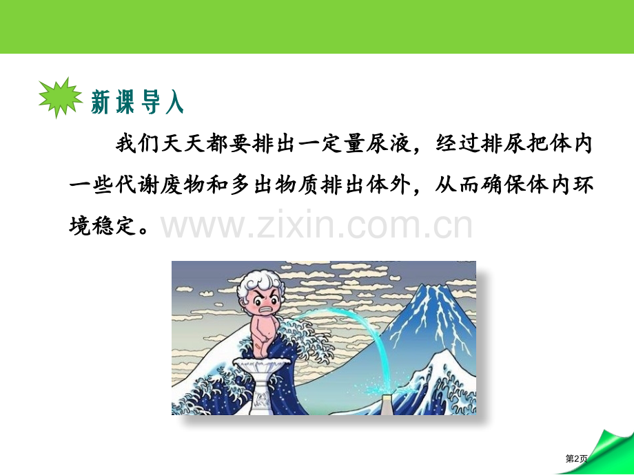 人体泌尿系统的组成教学课件省公开课一等奖新名师优质课比赛一等奖课件.pptx_第2页