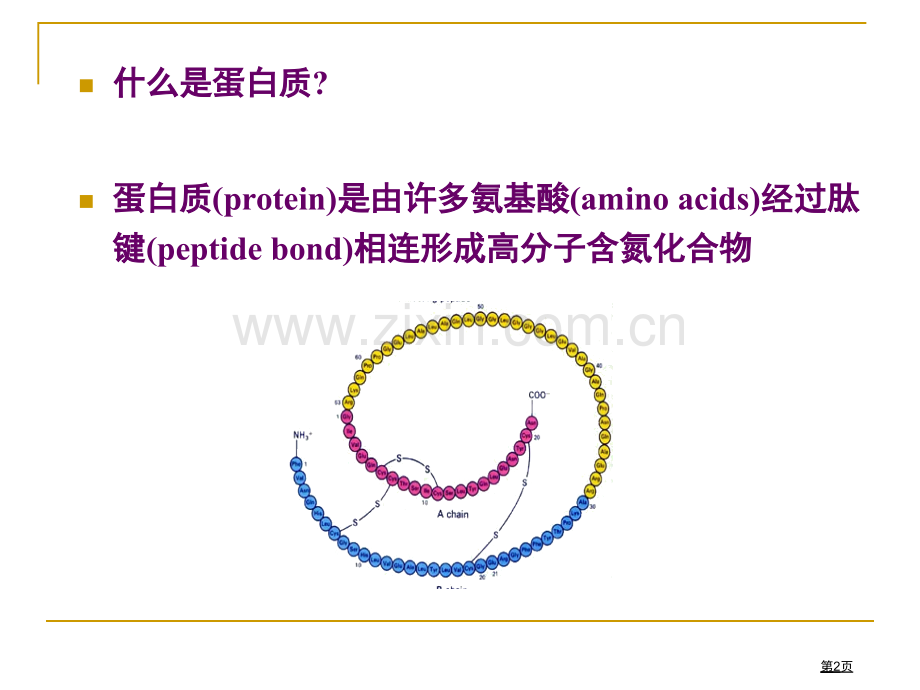 生物化学蛋白质的结构和功能省公共课一等奖全国赛课获奖课件.pptx_第2页