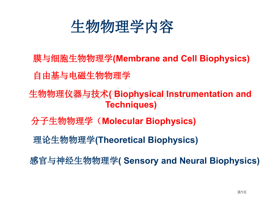 生物物理学的内容市公开课一等奖百校联赛特等奖课件.pptx_第1页