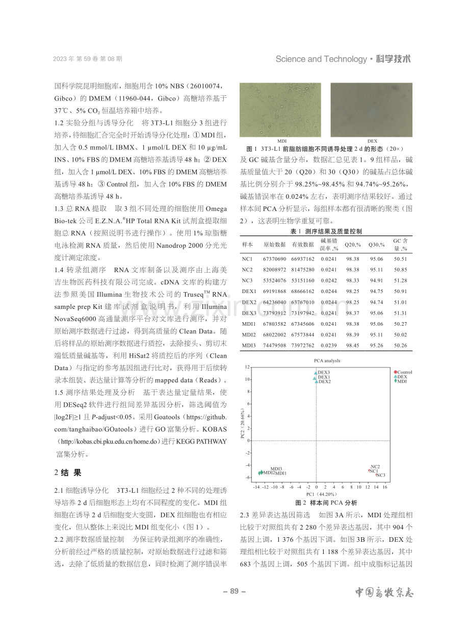 基于转录组测序探究地塞米松在前体脂肪细胞成脂分化过程中的作用机制.pdf_第2页