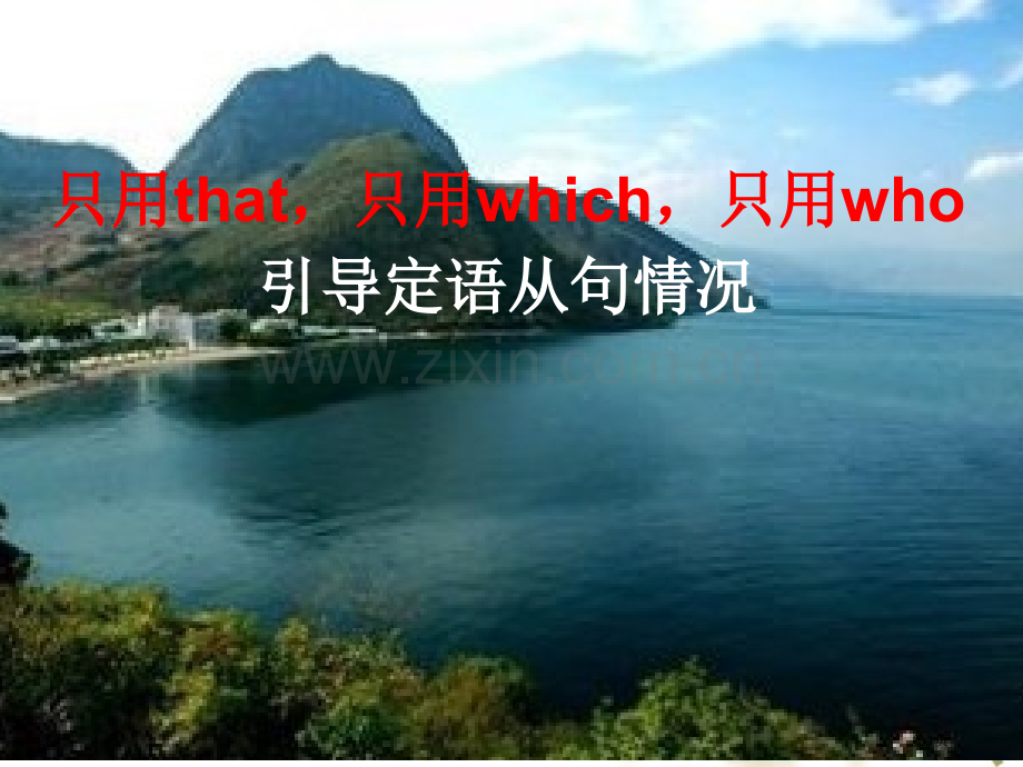 只用that只用which只用who引导定语从句的情况省公共课一等奖全国赛课获奖课件.pptx_第1页