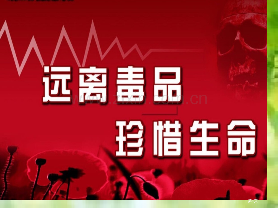 禁毒教师师资培训市公开课一等奖百校联赛获奖课件.pptx_第1页