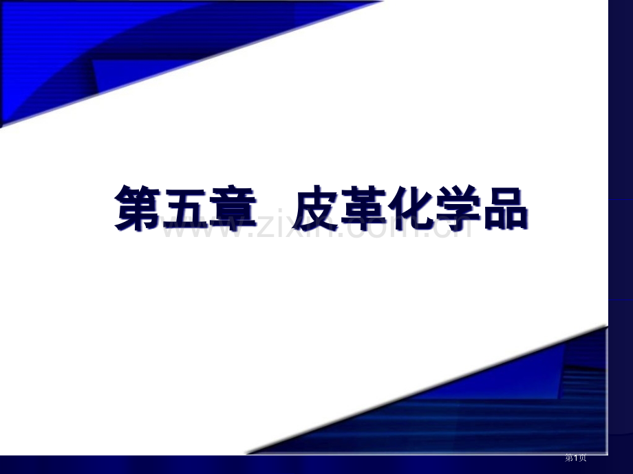 皮革化学品省公共课一等奖全国赛课获奖课件.pptx_第1页