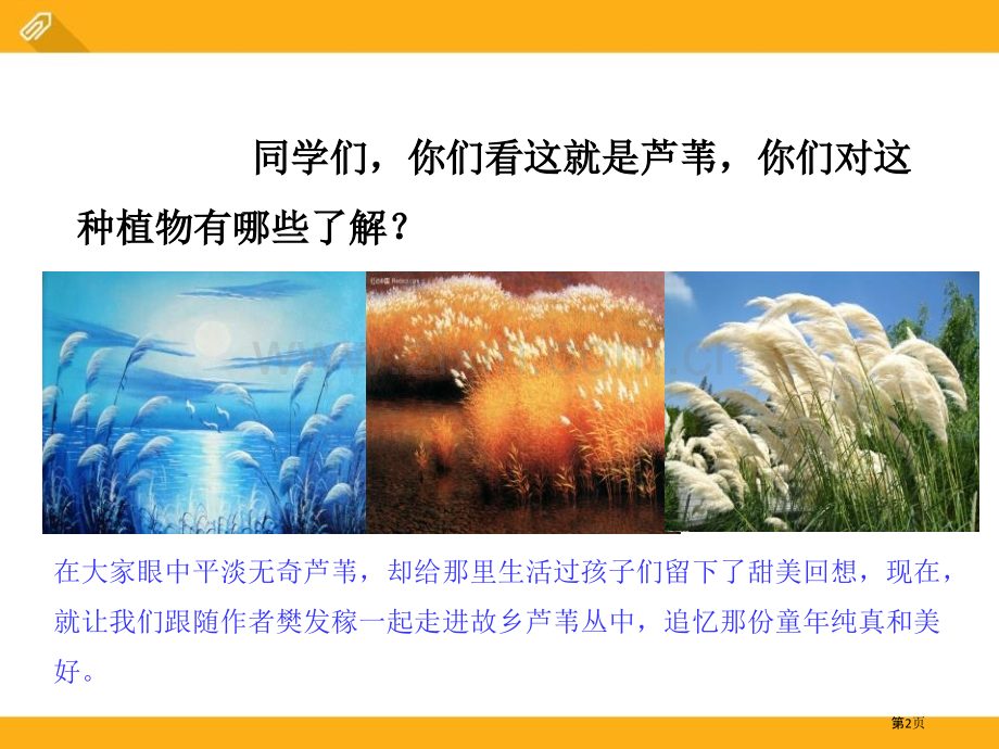 芦苇的记忆省公开课一等奖新名师比赛一等奖课件.pptx_第2页