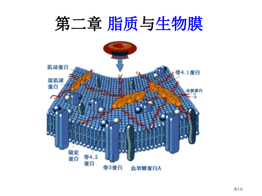 脂质和生物膜省公共课一等奖全国赛课获奖课件.pptx_第1页