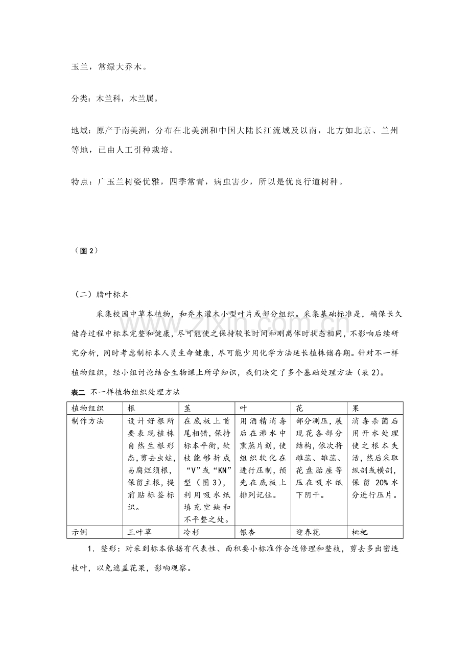 校园常见植物采集调查分析报告.doc_第3页