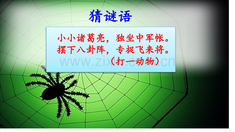 蜘蛛开店教学课件省公开课一等奖新名师比赛一等奖课件.pptx_第2页