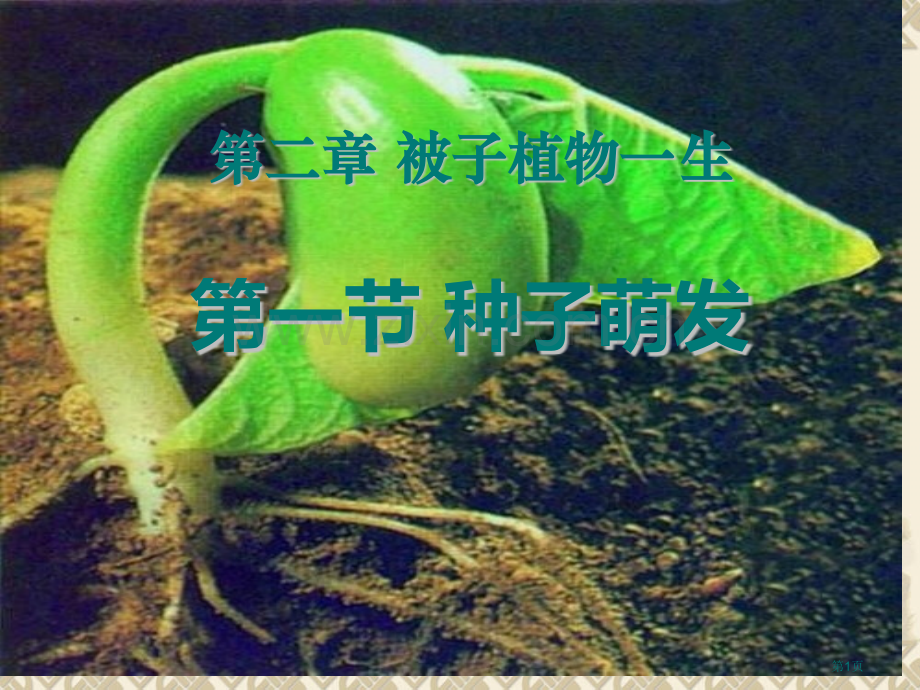 种子的萌发被子植物的一生省公开课一等奖新名师优质课比赛一等奖课件.pptx_第1页