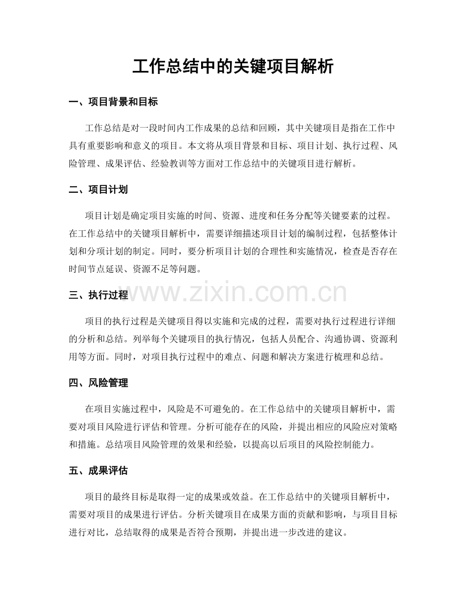 工作总结中的关键项目解析.docx_第1页