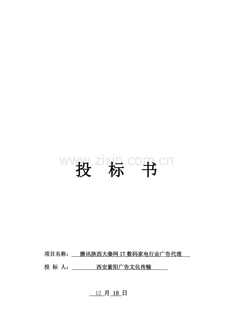 IT数码家电行业广告代理投标书模板.doc_第1页