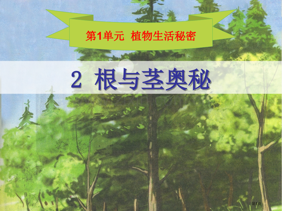 根与径的奥秘植物生活的秘密课件省公开课一等奖新名师优质课比赛一等奖课件.pptx_第1页