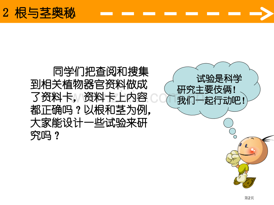 根与径的奥秘植物生活的秘密课件省公开课一等奖新名师优质课比赛一等奖课件.pptx_第2页