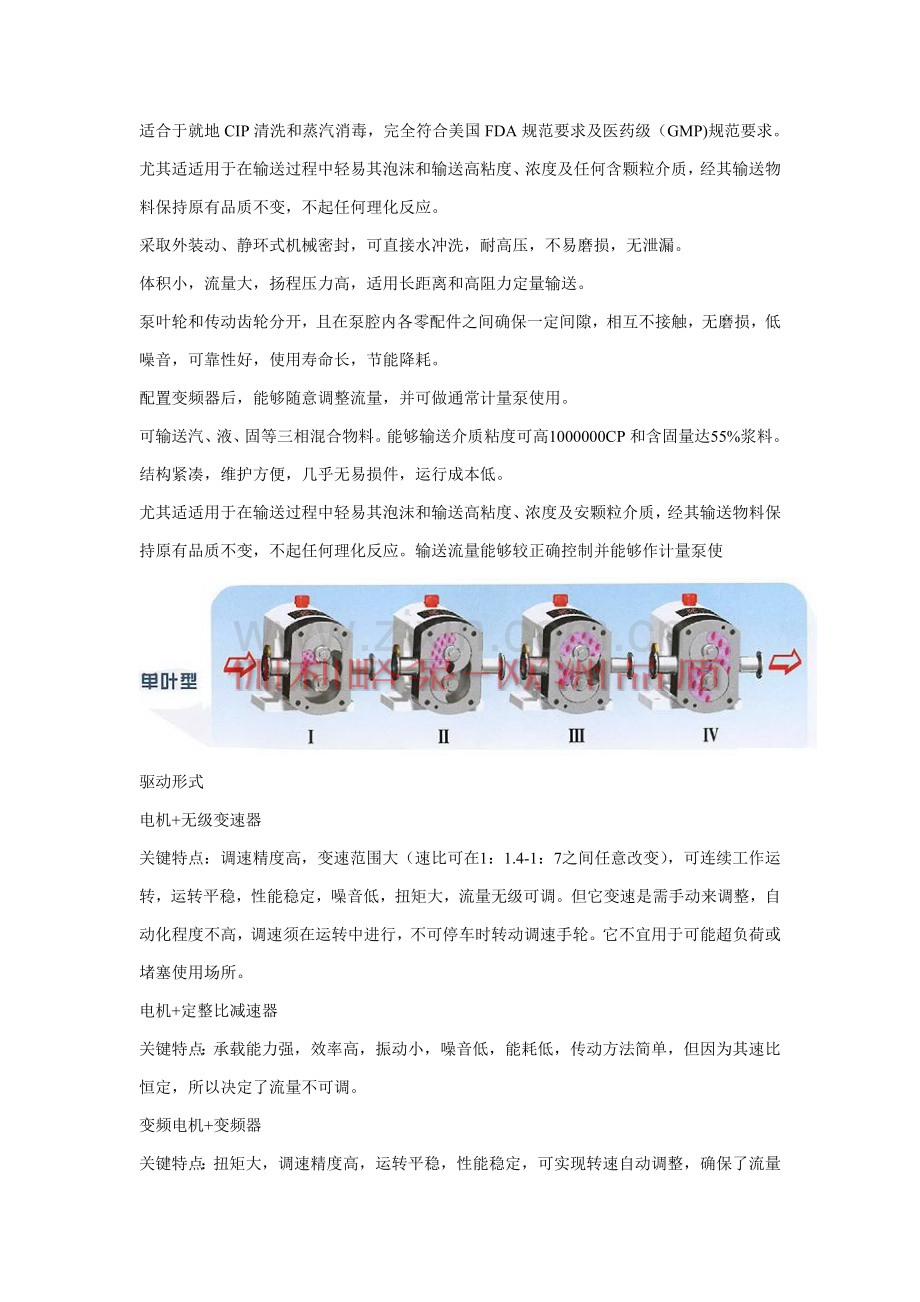 转子泵招标文件模板.doc_第2页