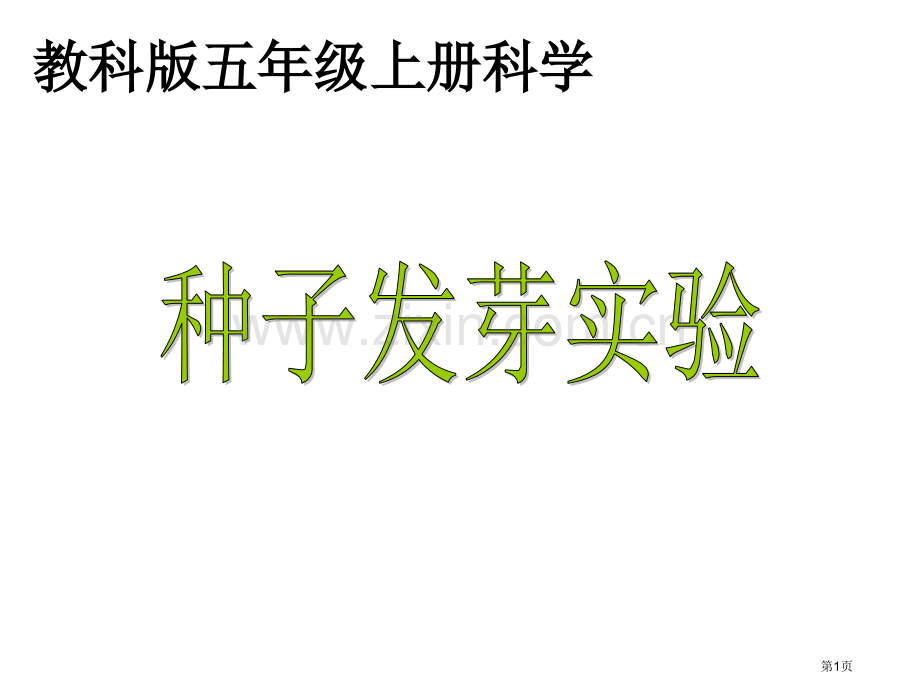 五年级科学上册种子发芽实验2教科版省公共课一等奖全国赛课获奖课件.pptx_第1页