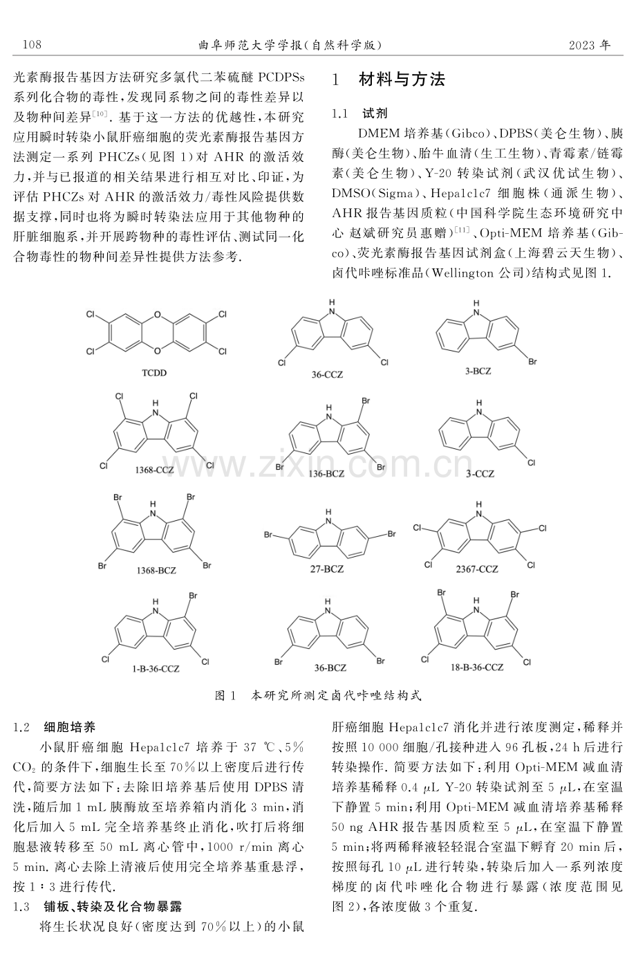 基于小鼠肝癌细胞系的卤代咔唑的芳香烃受体激活能力测定与比较.pdf_第2页