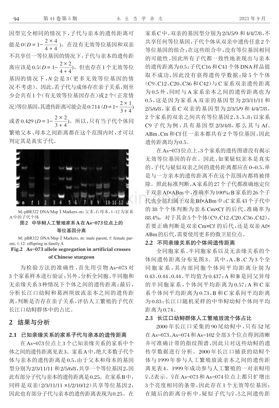 基于微卫星标记的中华鲟亲子关系判别及案例分析.pdf_第3页