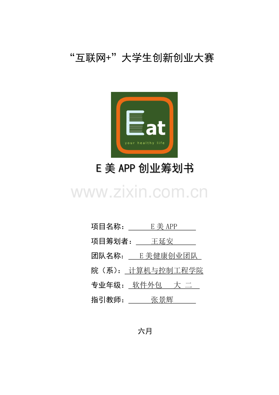 互联网专项项目综合计划书.docx_第1页