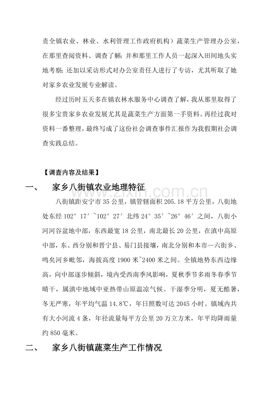 假期社会实践调查分析报告.docx_第3页