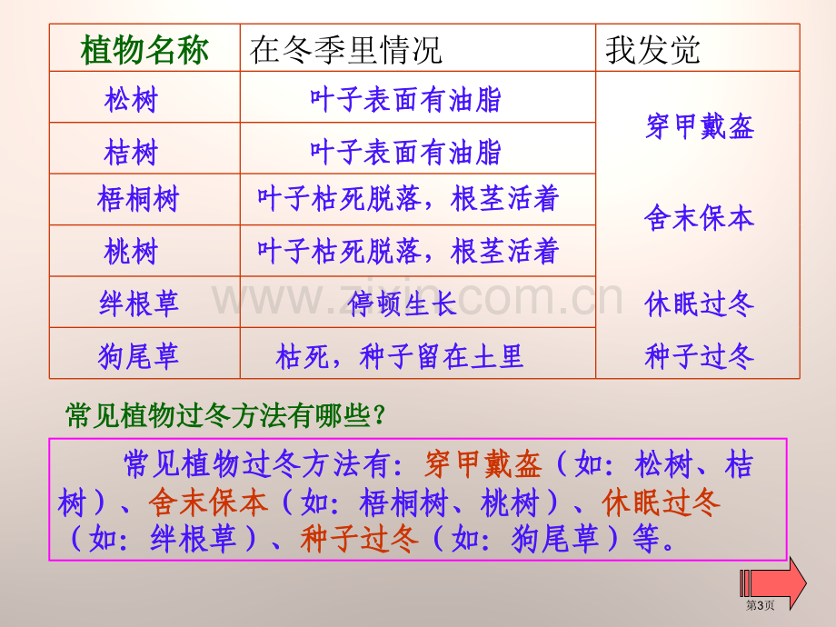 动植物是怎样过冬的四季中的变化课件省公开课一等奖新名师优质课比赛一等奖课件.pptx_第3页