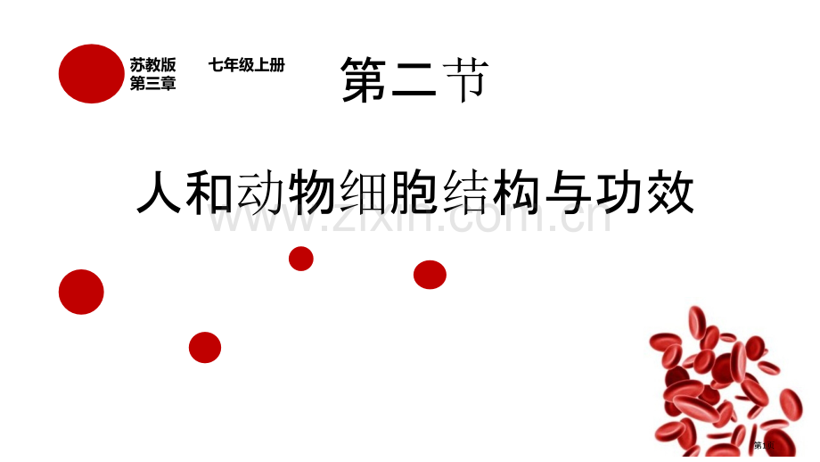 人和动物细胞的结构与功能教学课件省公开课一等奖新名师优质课比赛一等奖课件.pptx_第1页