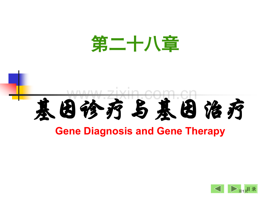 生物化学与分子生物学八课件29市公开课一等奖百校联赛特等奖课件.pptx_第1页