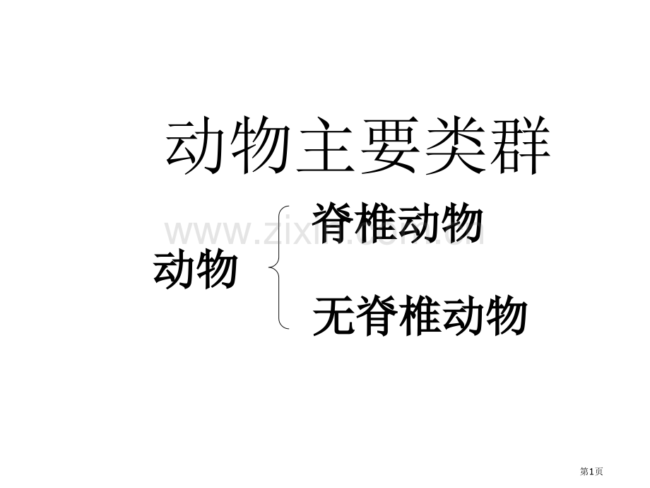 九年级生物动物的主要类群省公共课一等奖全国赛课获奖课件.pptx_第1页