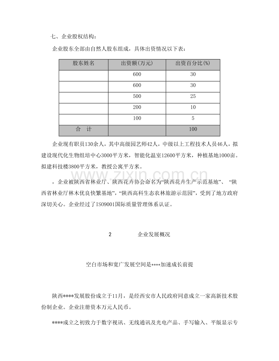 科技公司项目商业计划书样本样本.doc_第3页