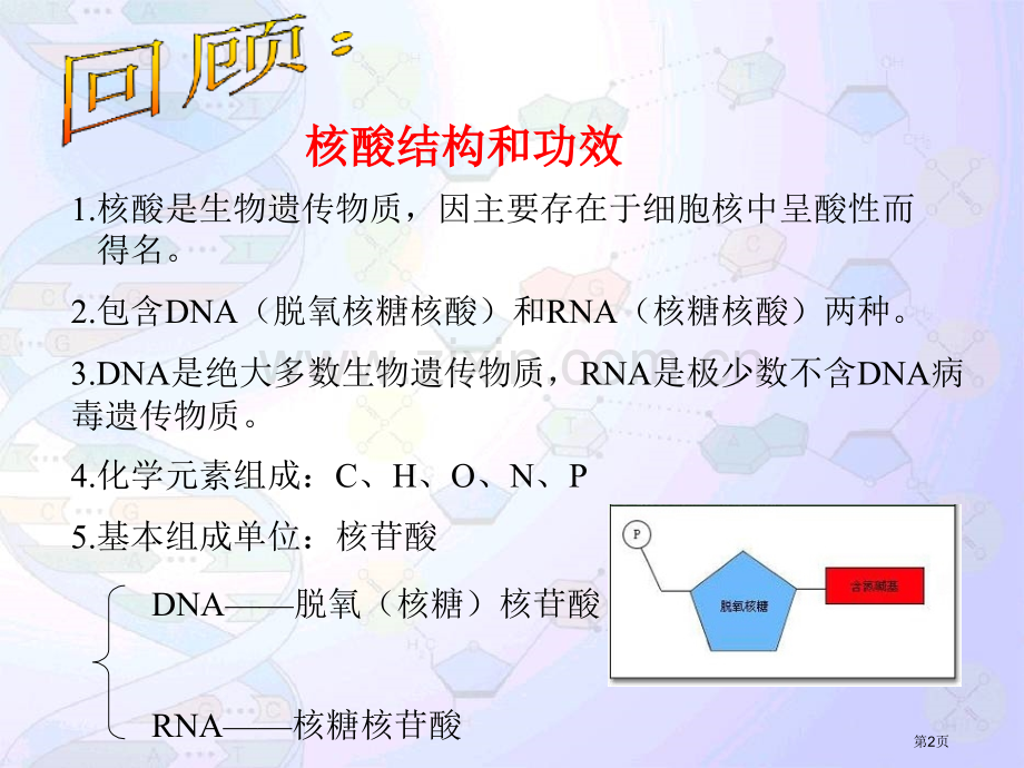 DNA分子的结构和复制一轮复习省公共课一等奖全国赛课获奖课件.pptx_第2页