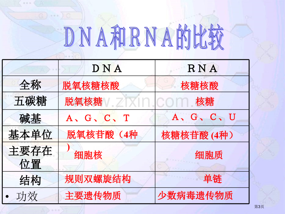 DNA分子的结构和复制一轮复习省公共课一等奖全国赛课获奖课件.pptx_第3页