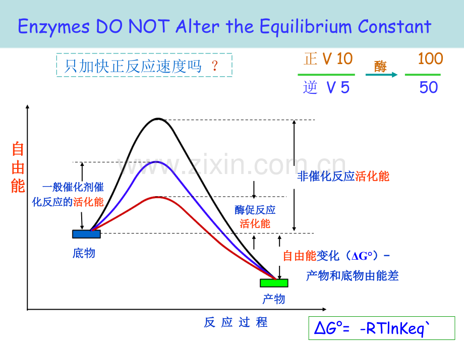 酶化学A省公共课一等奖全国赛课获奖课件.pptx_第3页