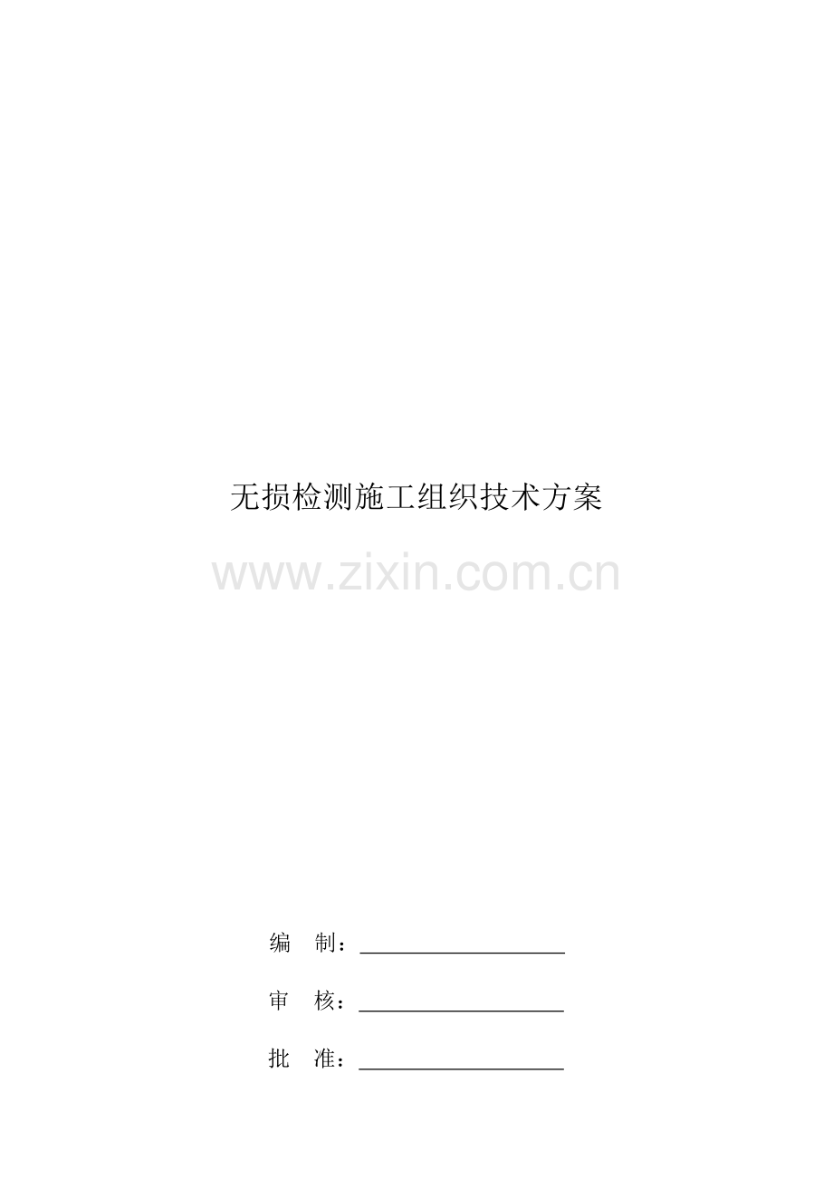 无损检测综合标准施工组织核心技术专业方案.docx_第1页