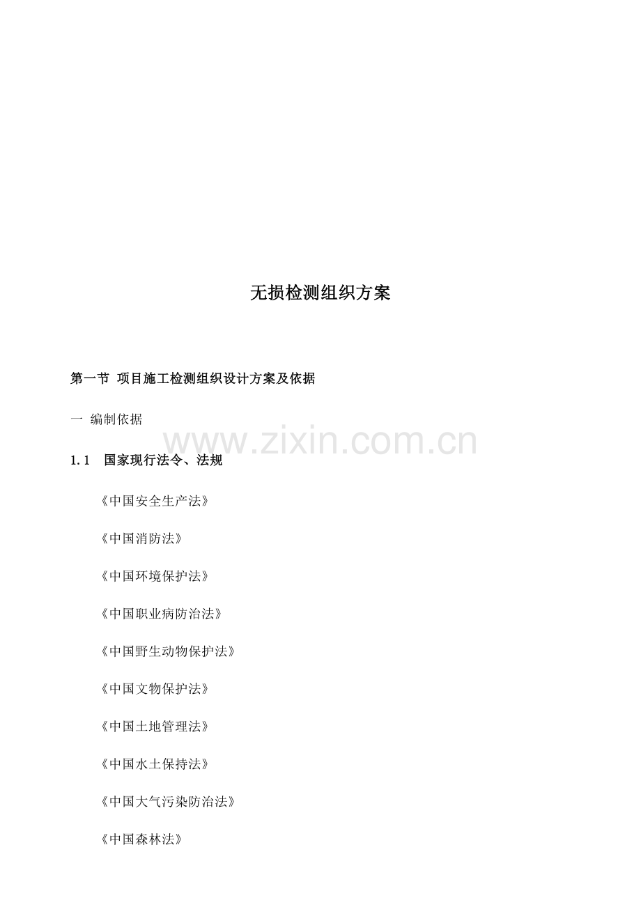 无损检测综合标准施工组织核心技术专业方案.docx_第2页