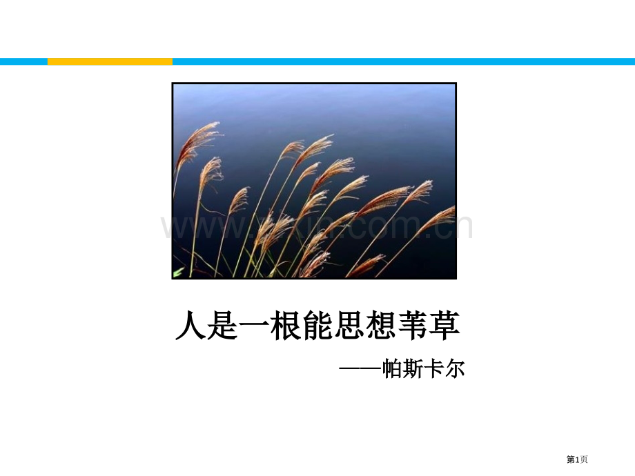 人是一根能思想的苇草省公开课一等奖新名师比赛一等奖课件.pptx_第1页