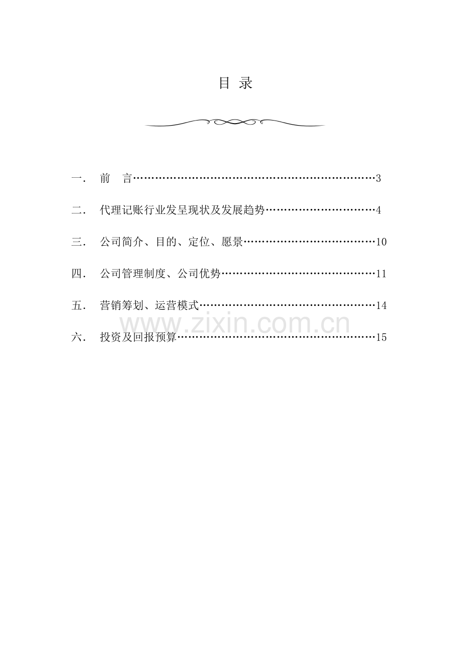 财务代理公司专项方案.doc_第2页