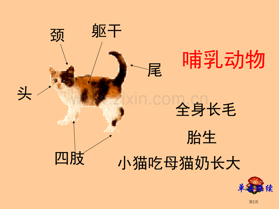 形形色色的动物课件省公开课一等奖新名师优质课比赛一等奖课件.pptx_第2页