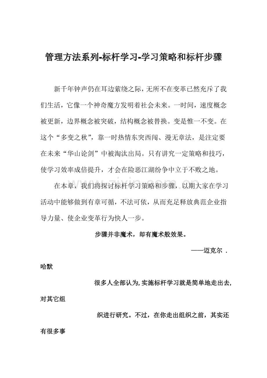 学习策略与标杆流程模板.doc_第1页