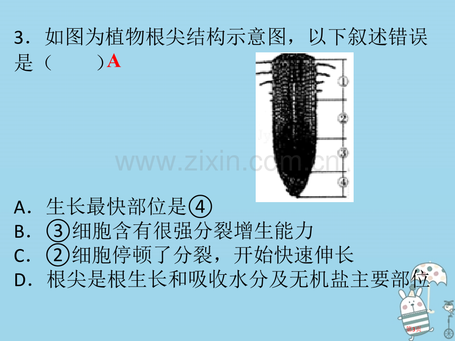 七年级生物上册第三单元第三章绿色植物与生物圈的水循环第四章绿色植物是生物圈中有机物的制造者PPT市公.pptx_第3页