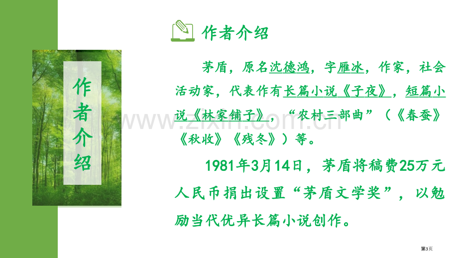 白杨礼赞优秀教学课件省公开课一等奖新名师比赛一等奖课件.pptx_第3页