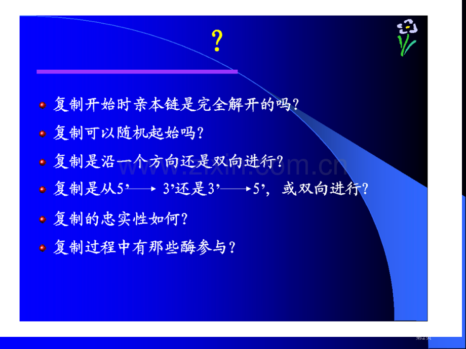 分子生物学本三Dna的复制与转座省公共课一等奖全国赛课获奖课件.pptx_第2页