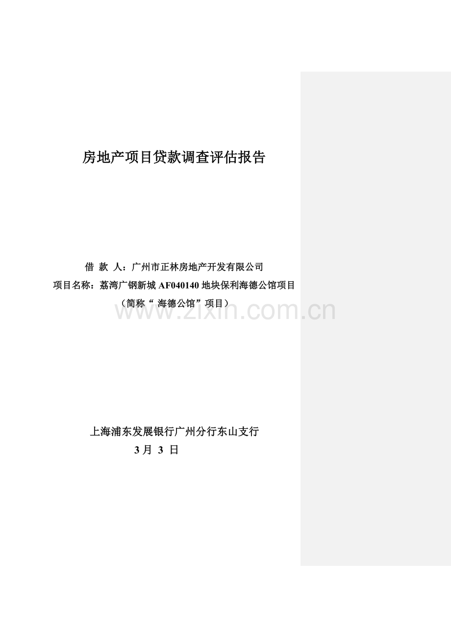 房地产综合项目贷款调查评估分析报告浦发银行授信报告模板.doc_第1页